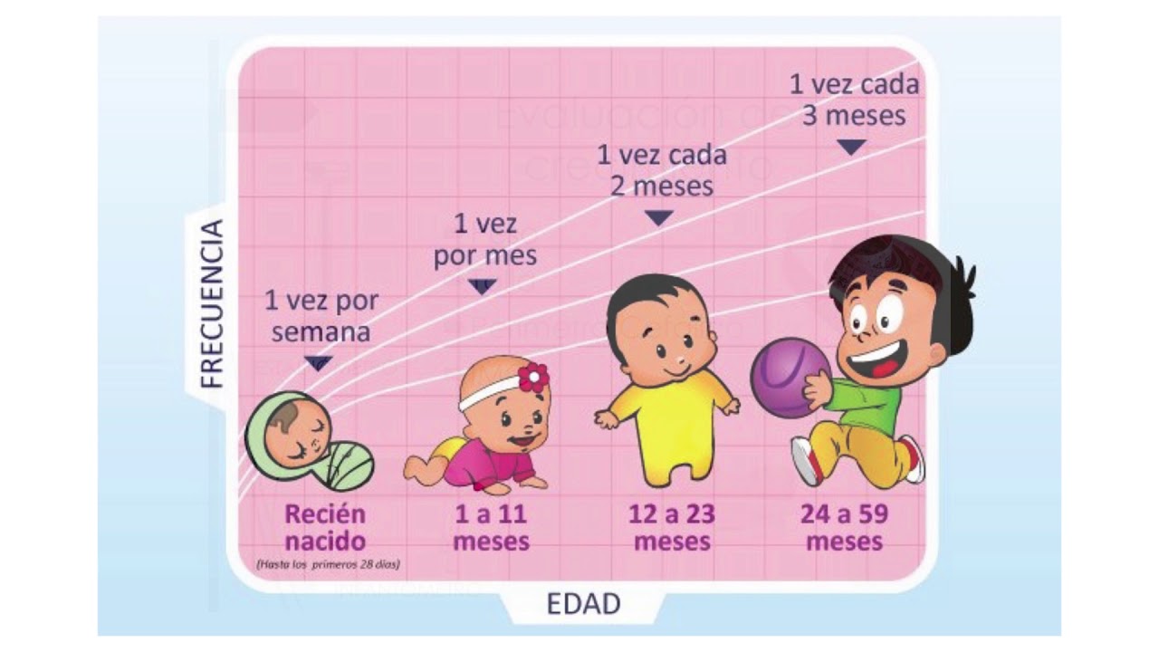 Conociendo y Cuidando el Estado Nutricional 